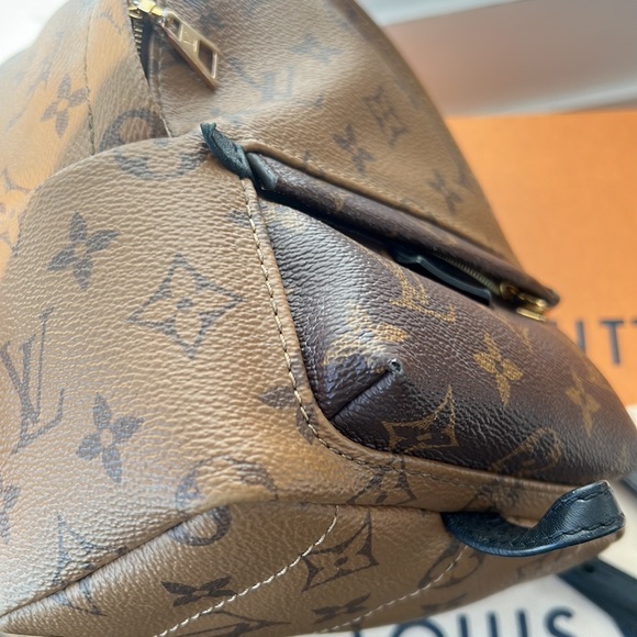 Palm Springs Mini Reverse Monogram - Picture 14 of 17